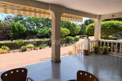 Villa i Yecla, Murcia, Yecla - € 325.000 | Ref: SF0534 - foto 24